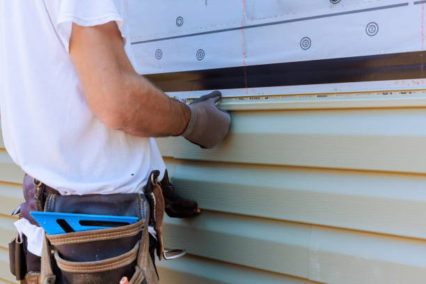 Affordable Siding Replacement solutions in Waverly, IL